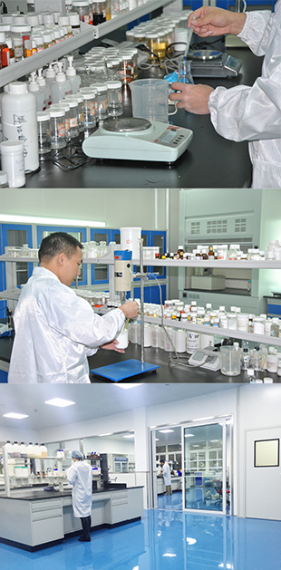 研發(fā)團(tuán)隊(duì)